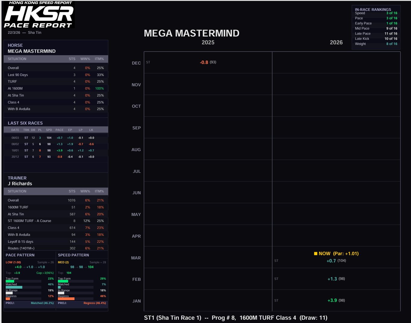 PDF Pace Report Preview